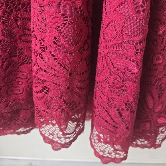 Kiyonna Women's Plus Pinot Noir Mademoiselle Lace Cocktail Dress Size 4X Red - Picture 10 of 15